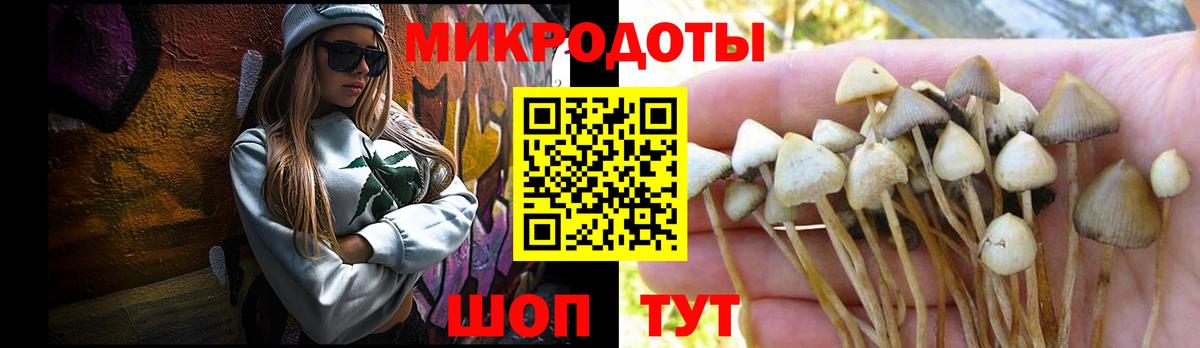 Псилоцибиновые грибы прущие грибы  Вход с VPN  Кызыл 